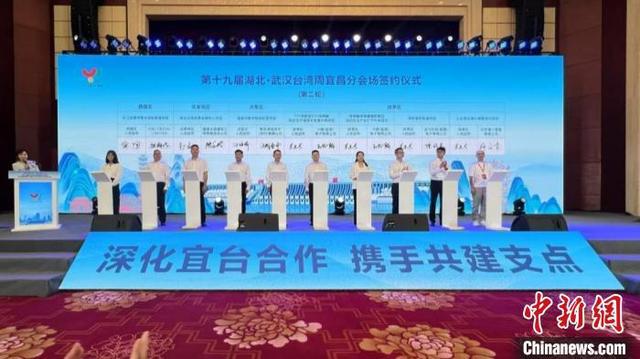 海峽兩岸關(guān)系的新篇章，2016年1月24日的獨(dú)特視角，海峽兩岸關(guān)系新篇章，獨(dú)特視角下的深度解讀（2016年1月24日）