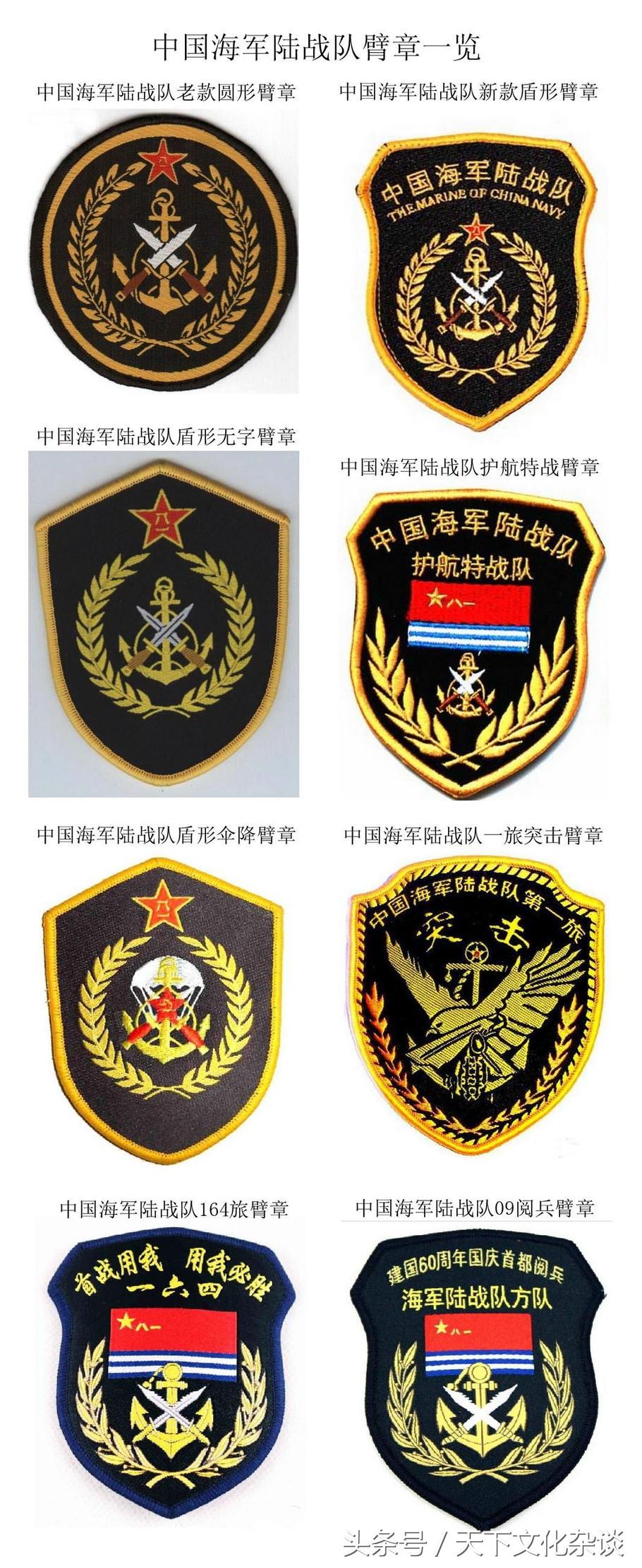 中國特種部隊排名臂章，榮耀與力量的象征，中國特種部隊排名臂章，榮耀與力量的標(biāo)志