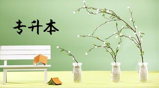 大專當兵兩年回來專升本，探索軍旅生涯與學歷提升的雙贏之路，大專當兵兩年歸來，實現(xiàn)軍旅與學歷雙贏之路的專升本探索