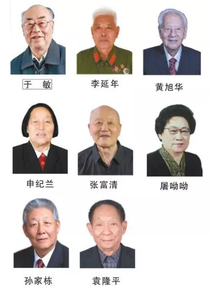 首批共和國勛章名單，榮耀與傳承的象征，首批共和國勛章名單，榮耀傳承的象征