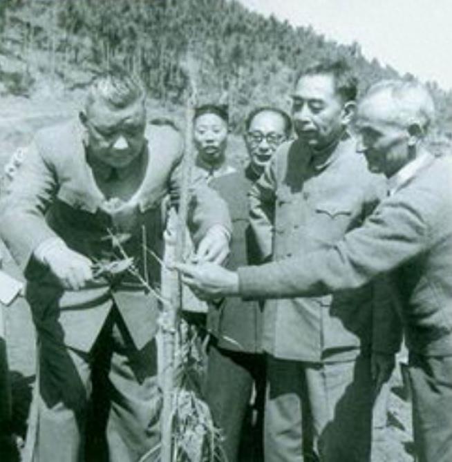 云南民國上將名單及其歷史貢獻(xiàn)，云南民國上將名單及其歷史貢獻(xiàn)概覽