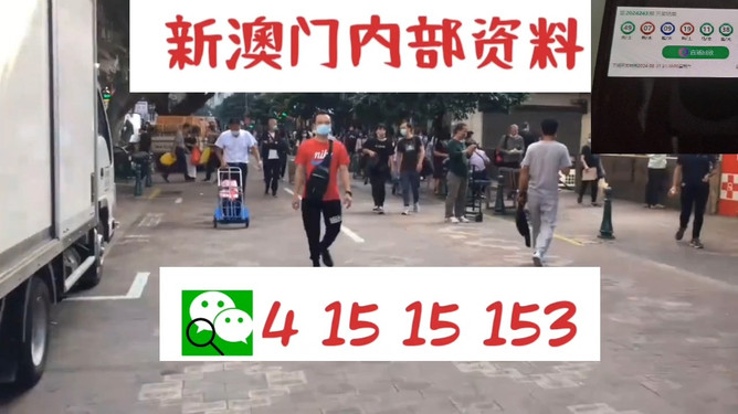 澳門管家婆100中，探索數(shù)字世界的奧秘與魅力，澳門管家婆數(shù)字世界的奧秘與魅力探索
