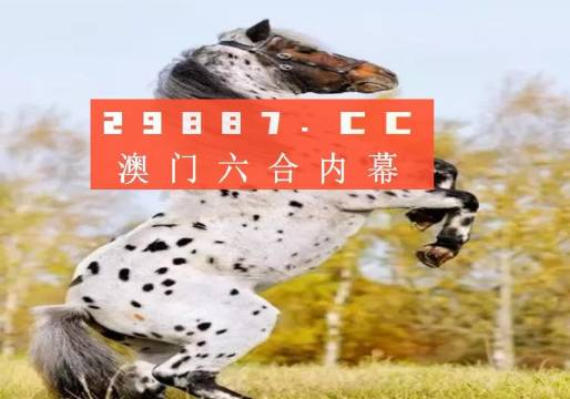 白小姐精準免費四肖，揭秘背后的秘密與真相，揭秘白小姐精準免費四肖背后的真相與秘密