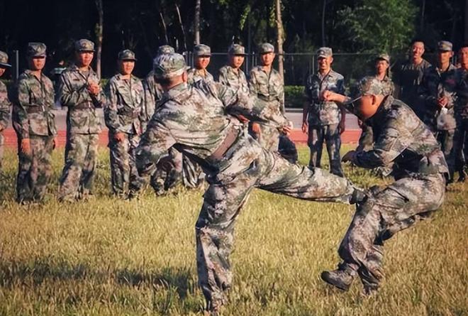 十四集團(tuán)軍的歷史與榮耀，十四集團(tuán)軍，歷史沿革與榮耀時(shí)刻