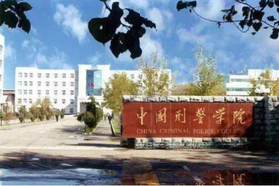 刑警學(xué)院與985高校，孰強(qiáng)孰弱之探討，刑警學(xué)院與985高校，孰強(qiáng)孰弱深度探討