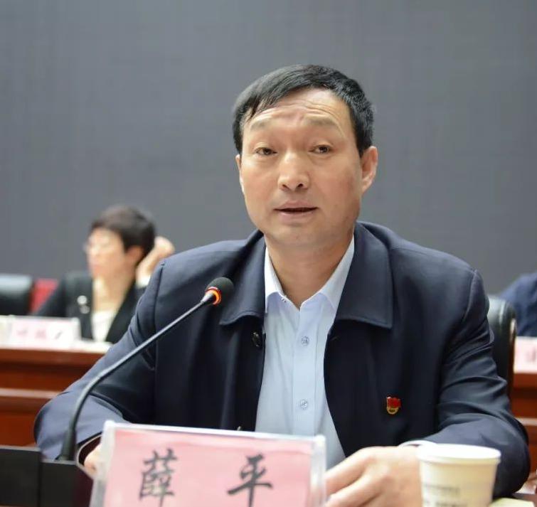 柳林簡(jiǎn)歷，一位杰出人才的成長(zhǎng)歷程，柳林成長(zhǎng)歷程，杰出人才的奮斗軌跡