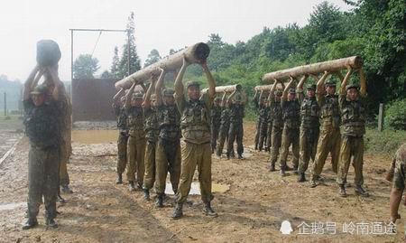 國際獵人學(xué)校含金量深度解析，國際獵人學(xué)校含金量全面解析