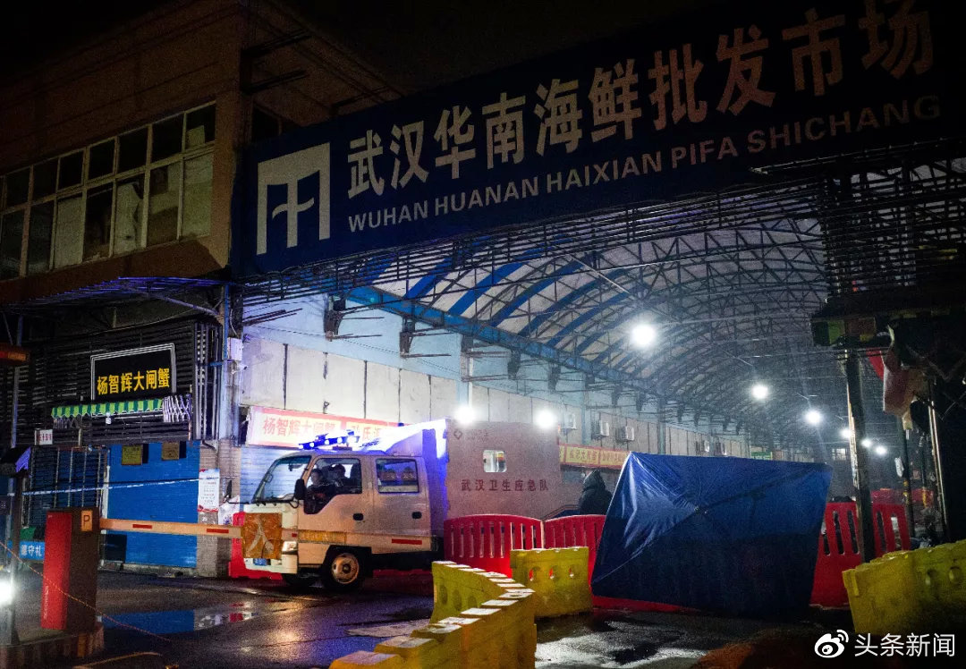 武漢華南海鮮市場，一座城市的活力之源與市場魅力，武漢華南海鮮市場，城市活力與市場魅力的交匯點