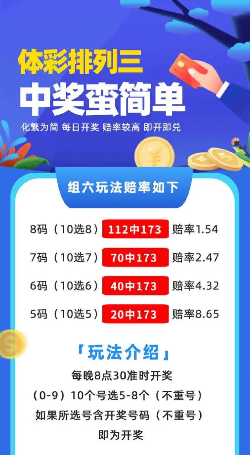 中三肖賠付多少，深度解析與探討，中三肖賠付深度解析與探討指南