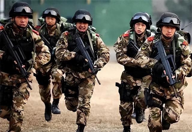 武警改革后剩余兵種概覽，武警改革后剩余兵種概覽，概覽與解析