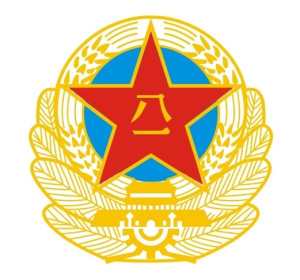 中國公安軍徽等級(jí)的圖片及其象征意義，中國公安軍徽等級(jí)圖片與象征意義解讀