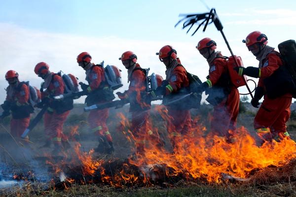 新疆軍區(qū)總兵力概況，新疆軍區(qū)總兵力概況簡(jiǎn)介