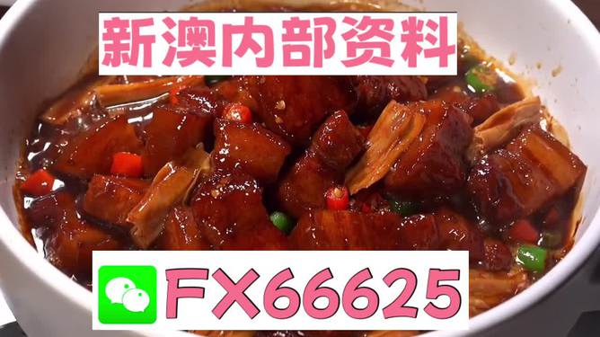 澳門精準一碼發(fā)財，探索與理解，澳門精準一碼發(fā)財，深度探索與理解