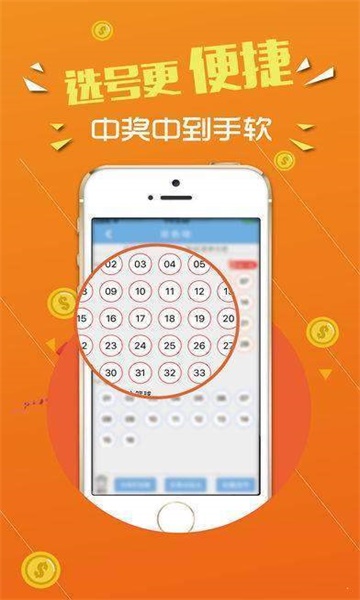 王中王心一肖中特，探尋背后的故事與意義，王中王心一肖中特，背后的故事與意義探究