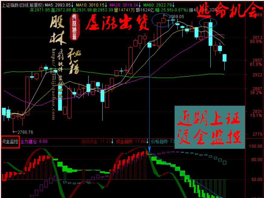 揭秘今日買(mǎi)入明日漲停公式——股市投資的新策略探索，揭秘今日買(mǎi)入明日漲停公式，股市投資新策略揭秘
