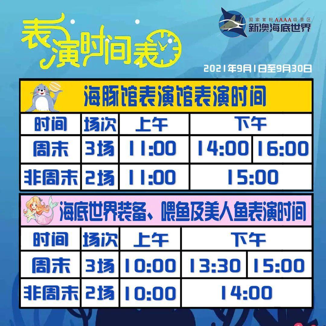 新澳天天開好彩資料大全——探索彩票世界的奧秘與魅力，新澳天天開好彩資料大全，揭秘彩票世界的魅力與奧秘