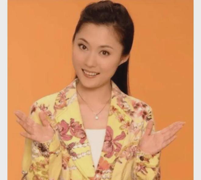 央視漂亮女主持人名單，璀璨星河的璀璨明珠，央視璀璨女主持人名單，璀璨星河的閃耀明珠