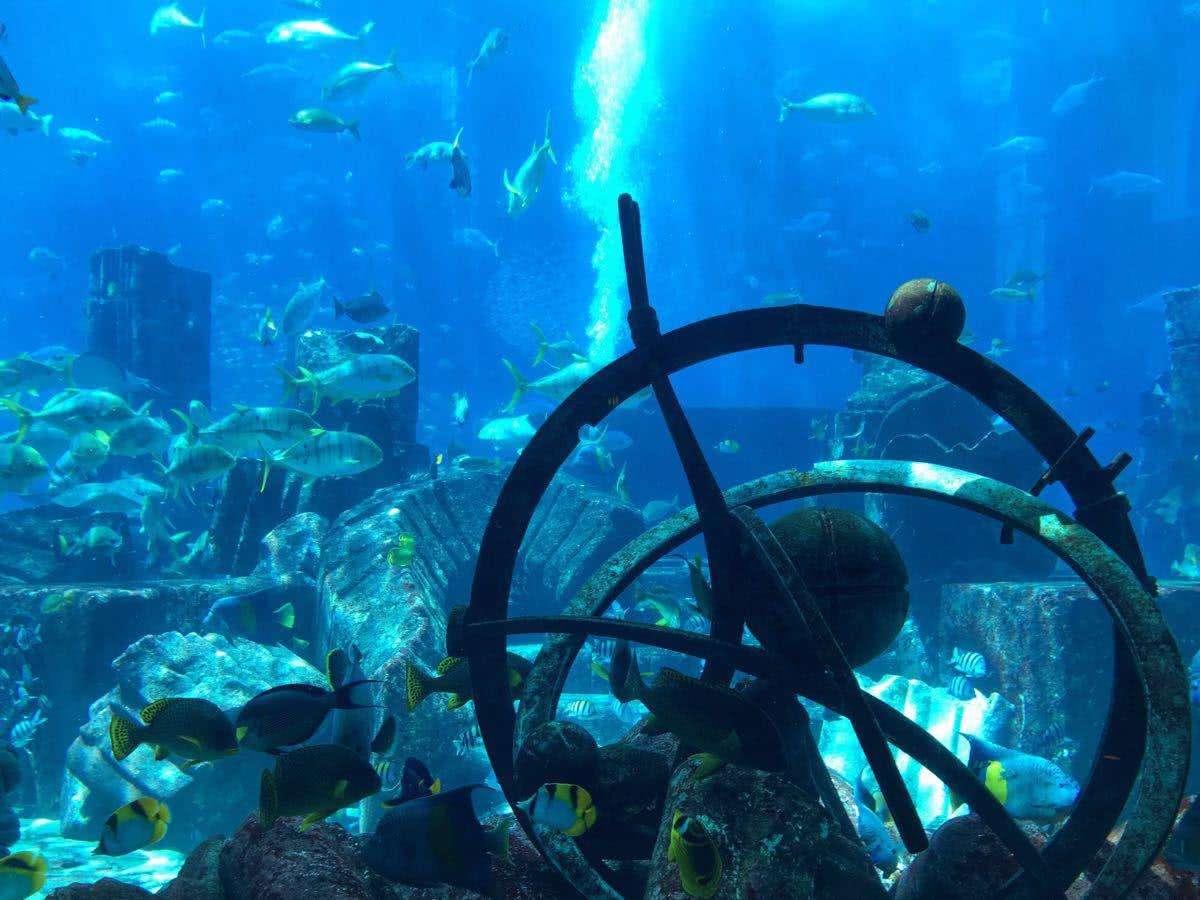 千島湖艦武器，探索現(xiàn)代海軍力量的尖端科技，千島湖艦武器揭秘，現(xiàn)代海軍力量的尖端科技探索