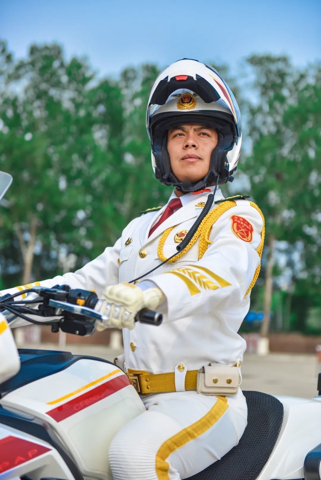 國賓護衛(wèi)隊，護衛(wèi)任務(wù)的榮耀與使命，國賓護衛(wèi)隊，榮耀與使命的護衛(wèi)任務(wù)