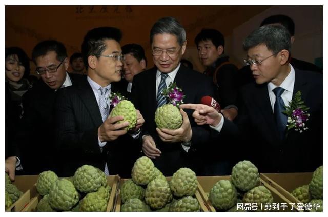 大陸解除對臺灣番荔枝輸入禁令，深化兩岸交流的新里程碑，深化兩岸交流的新里程碑，大陸解除臺灣番荔枝輸入禁令