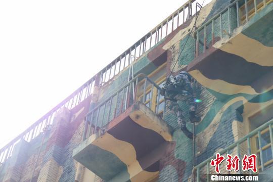 蛟龍突擊隊，頂尖的實力與不凡的傳奇，蛟龍突擊隊，頂尖實力與傳奇故事