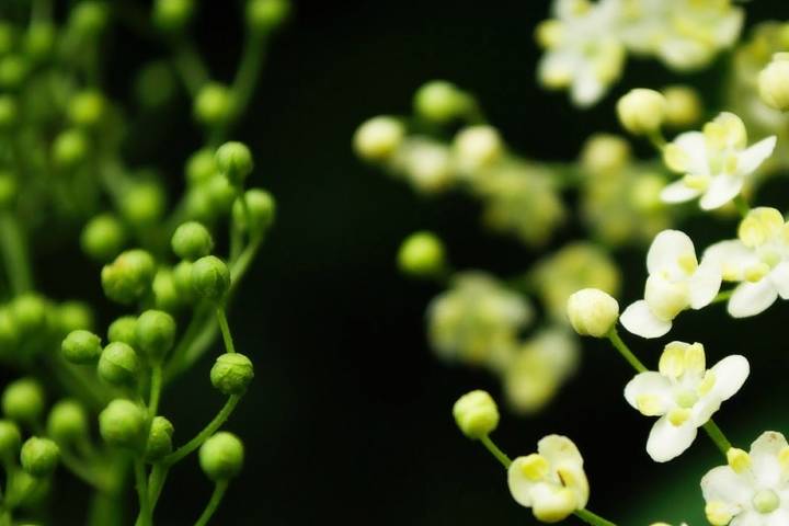 歷史文化的現(xiàn)代科技融合