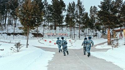 中國人民解放軍空軍兵種概覽，中國人民解放軍空軍兵種全面概覽