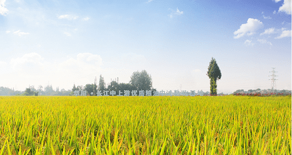 CCTV7農(nóng)業(yè)，展現(xiàn)農(nóng)村新貌，傳遞農(nóng)業(yè)信息，CCTV7農(nóng)業(yè)頻道，展現(xiàn)農(nóng)村新貌，傳遞農(nóng)業(yè)信息資訊