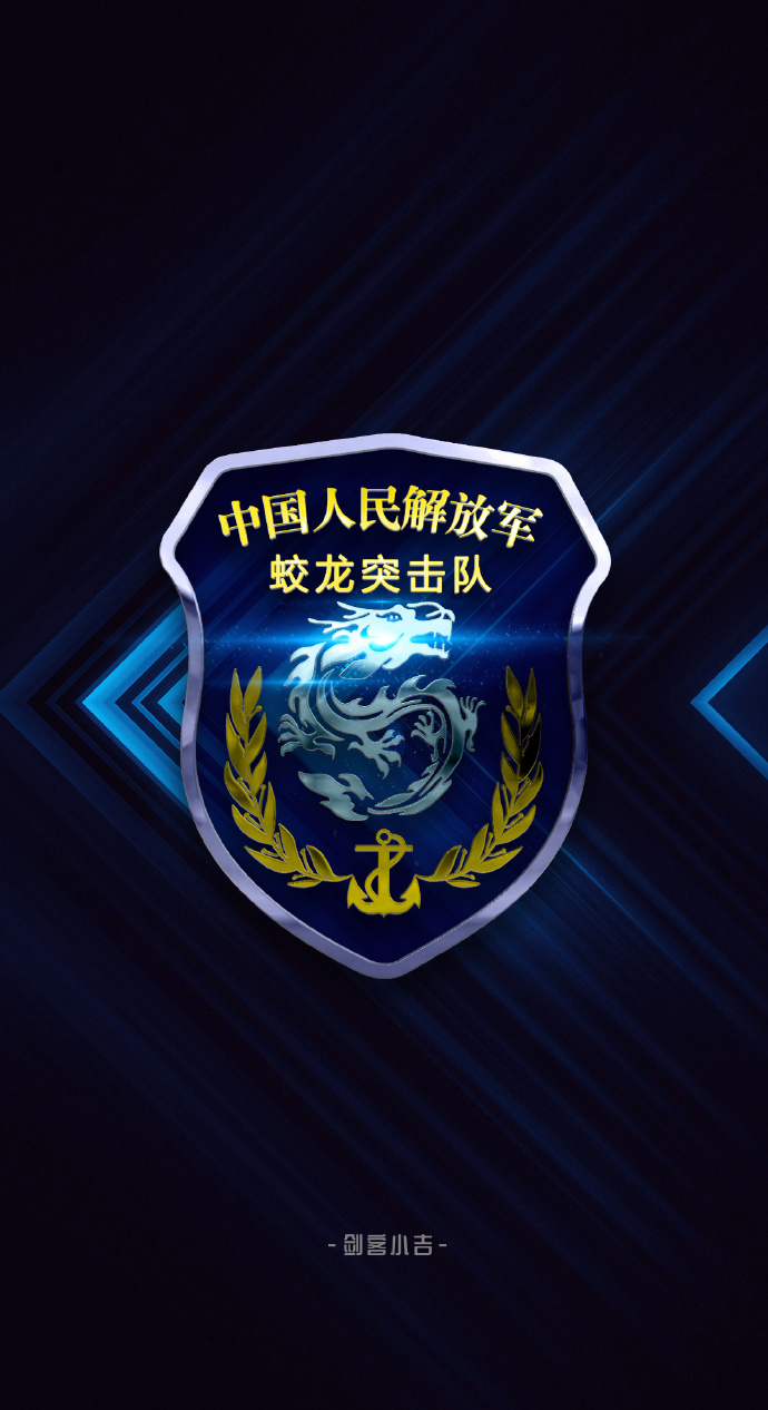 蛟龍突擊隊臂章高清，榮耀的象征與力量的展現(xiàn)，蛟龍突擊隊臂章高清，榮耀與力量的象征