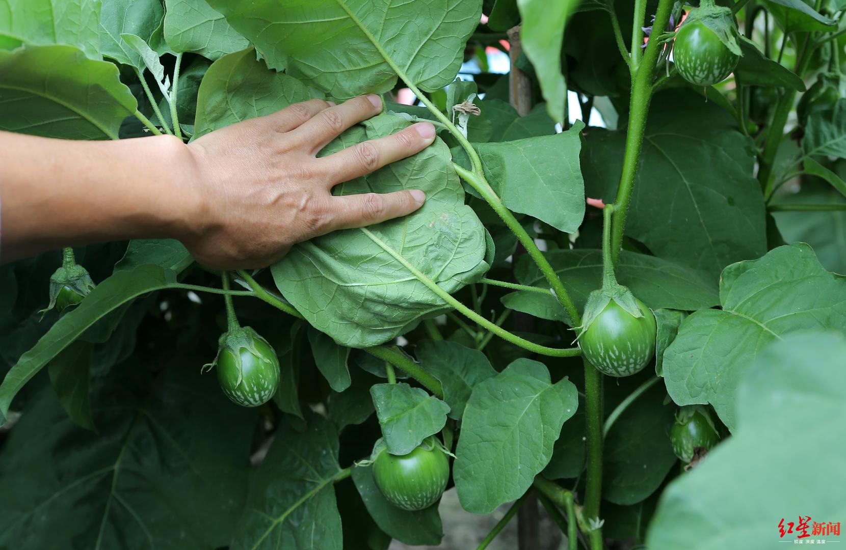 全球獵人學(xué)校的數(shù)量及其影響，全球獵人學(xué)校數(shù)量及其影響力探究