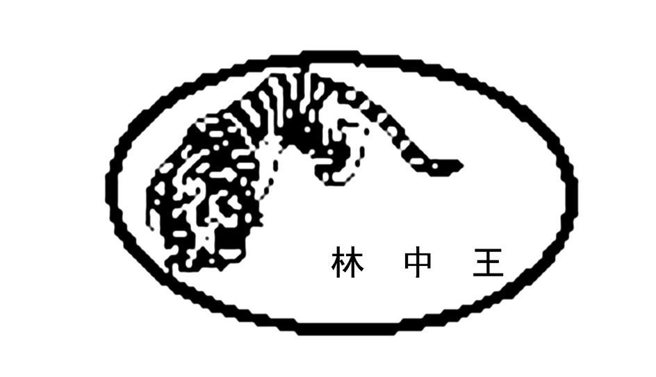 生肖王者