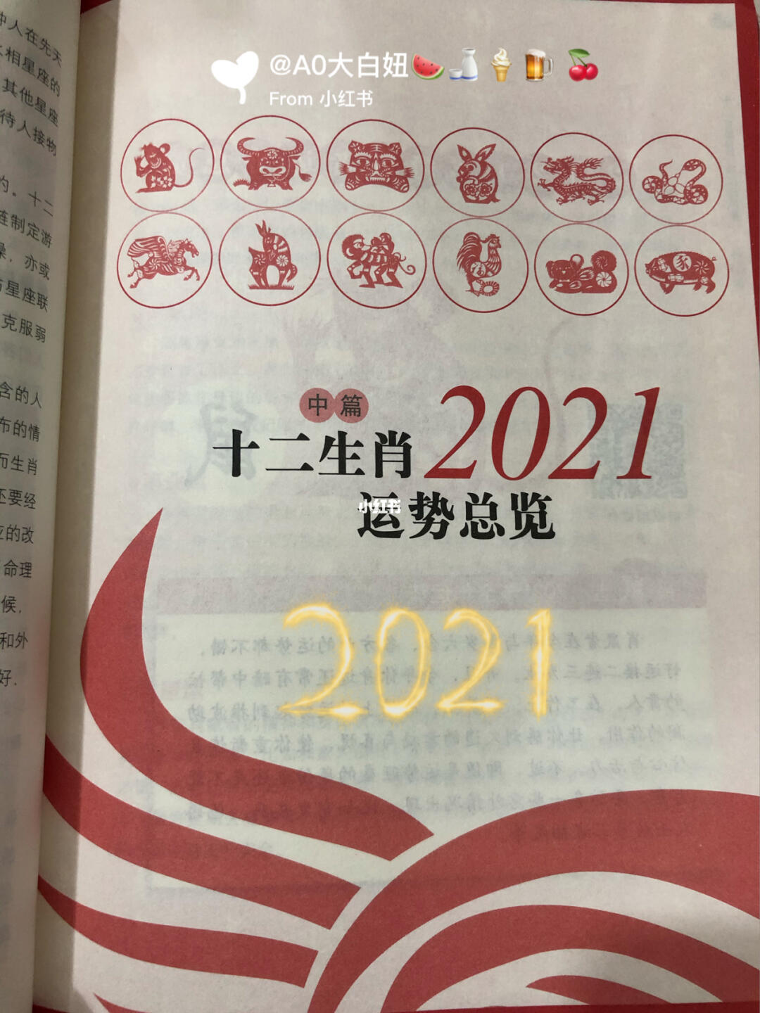 揭秘2021年一肖一碼背后的秘密，揭秘，2021年生肖幸運碼背后的秘密