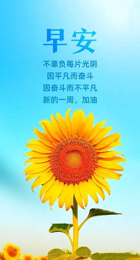 深度國際，探索未來的全球視野與機遇，深度國際，全球視野下的未來機遇探索