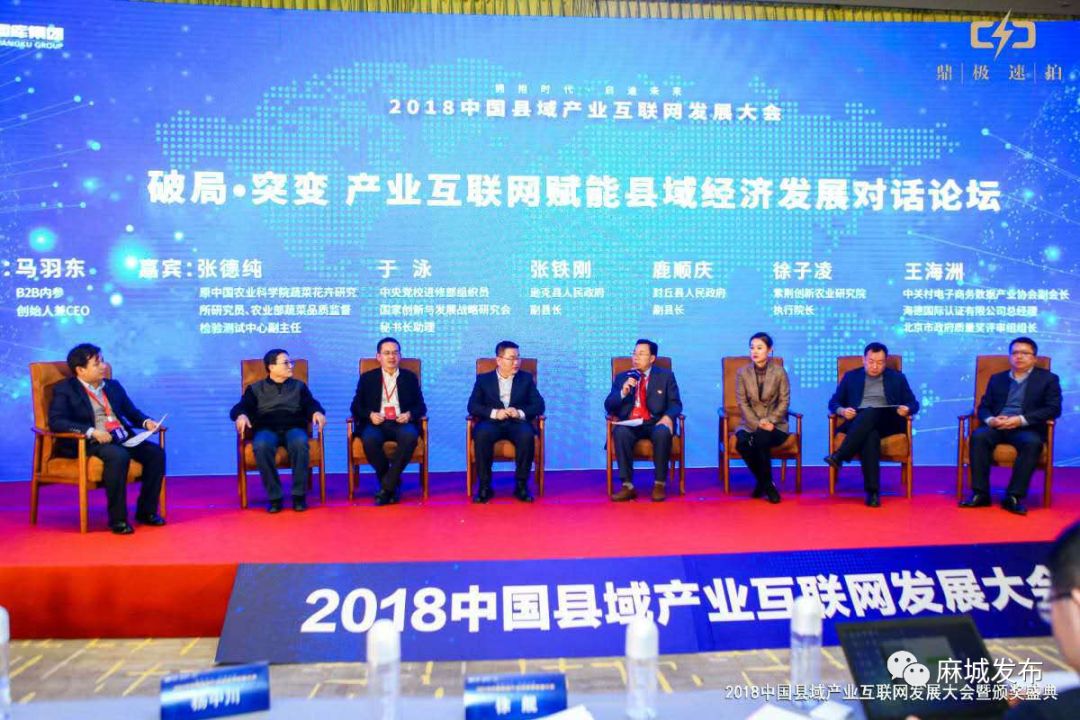 麻城最新新聞消息全面報道，麻城最新新聞全面報道速遞
