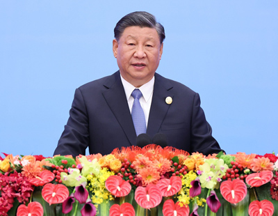 三肖王中王選一肖，探尋最佳選擇的背后邏輯，探尋三肖王中王選一肖的背后邏輯