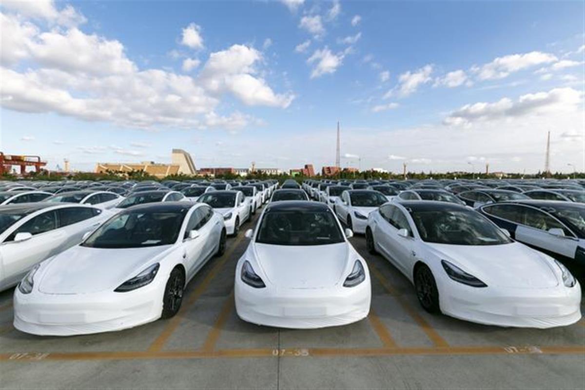 邁向未來的知識共享時代，2025年天天免費資料開啟新篇章，邁向知識共享時代，免費資料普及，開啟未來新篇章（2025年）