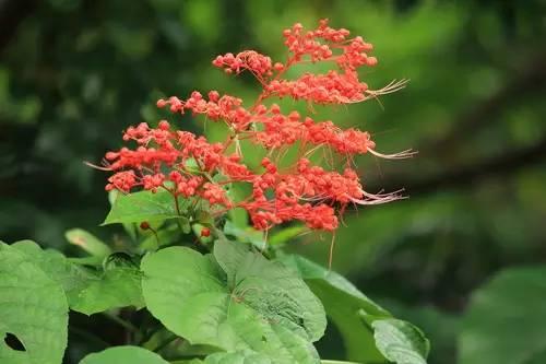 狀元紅資料免費(fèi)大全——助力學(xué)術(shù)研究與個(gè)人成長(zhǎng)的寶貴資源，狀元紅資料免費(fèi)大全，助力學(xué)術(shù)研究與個(gè)人成長(zhǎng)的必備資源庫(kù)