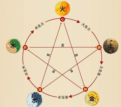 鐵算算盤(pán)4887最準(zhǔn)資料，揭秘精準(zhǔn)預(yù)測(cè)的秘密，揭秘鐵算算盤(pán)4887精準(zhǔn)預(yù)測(cè)的秘密資料