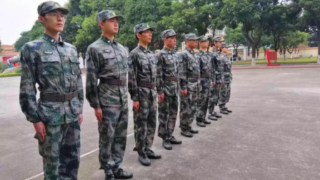 一個(gè)省有多少部隊(duì)，深度解析中國(guó)軍隊(duì)省域分布，中國(guó)軍隊(duì)省域分布深度解析，一省究竟駐有多少部隊(duì)？