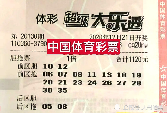 香港特馬開碼開獎結(jié)果今天——深度解析與觀察，香港特馬今日開獎結(jié)果深度解析及觀察