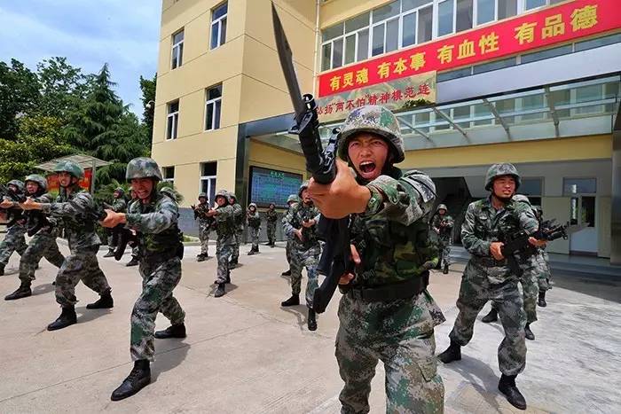 依法治軍從嚴(yán)治軍單位事跡，鍛造紀(jì)律之師的典范，鍛造紀(jì)律之師的典范，依法治軍從嚴(yán)治軍單位事跡展