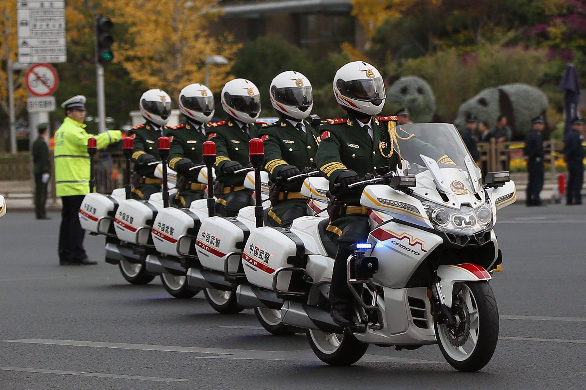 中國護(hù)衛(wèi)車隊(duì)的車輛裝備概述，中國護(hù)衛(wèi)車隊(duì)車輛裝備概覽