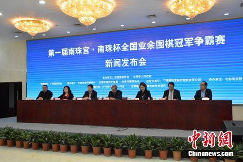 王中王王中王免費資料大全一，深度解析與探索，王中王王中王資料大全深度解析與探索一