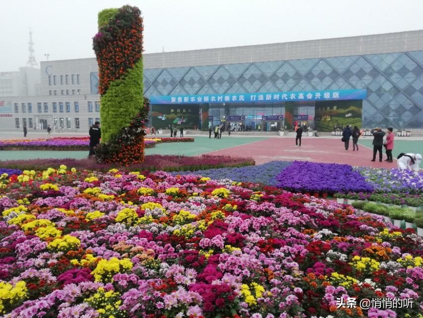 探究360頭條新聞，引領(lǐng)信息時(shí)代的新聞資訊平臺(tái)，探究信息時(shí)代引領(lǐng)者，360頭條新聞資訊平臺(tái)