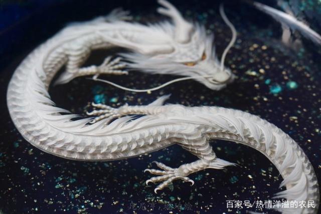 揭秘052白龍，傳奇戰(zhàn)艦的榮耀與擔(dān)當(dāng)，揭秘傳奇戰(zhàn)艦052白龍，榮耀與擔(dān)當(dāng)?shù)膫髌嬷? class=