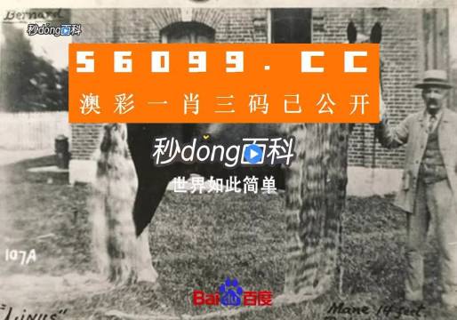 王中王資料心水一肖中特，深度解析與探索，王中王資料解析，探索心水一肖中的特質(zhì)與深度洞察