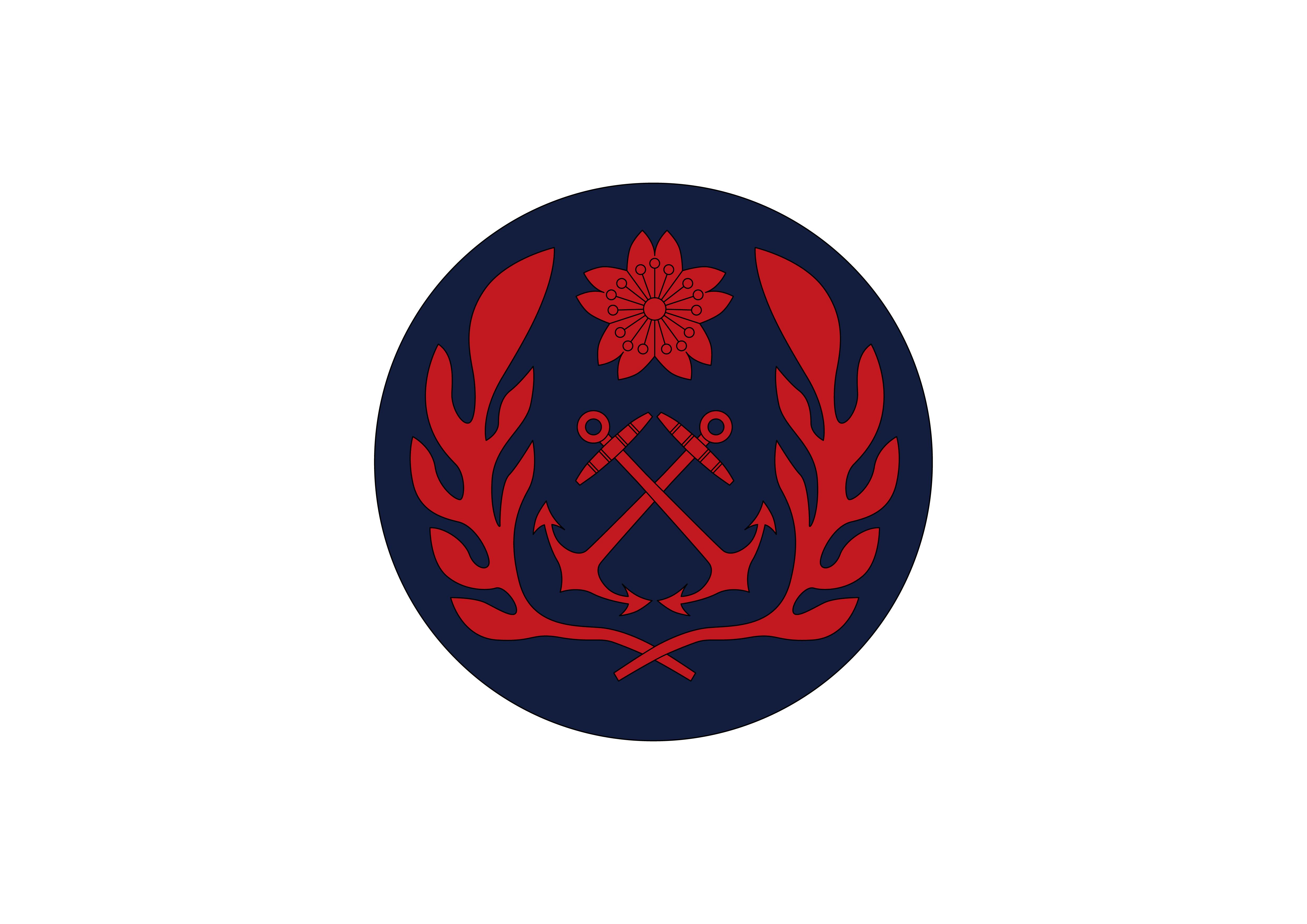 海軍臂章，榮耀的象征與職責(zé)的承載，海軍臂章，榮耀與職責(zé)的徽章