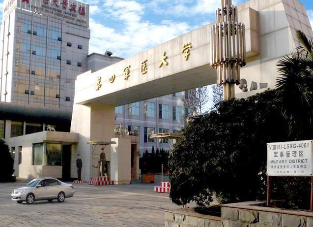 深度解析與探討