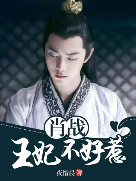 王中王與妃子一肖，宮廷權力與情感的交織，王中王與妃子一肖，宮廷權力與情感的糾葛