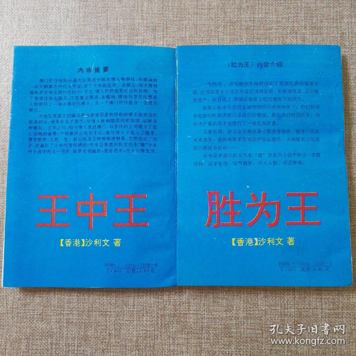 王中王資料一肖持，深度解析與探究，王中王資料一肖持，深度解析與探究揭秘